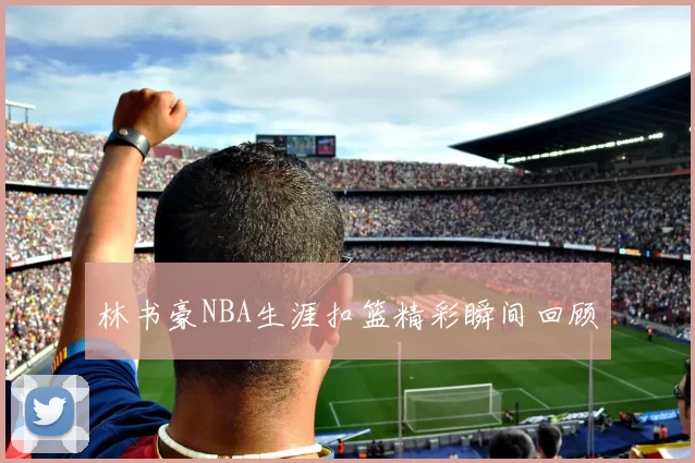 林书豪NBA生涯扣篮精彩瞬间回顾