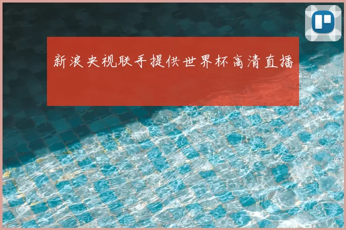 新浪央视联手提供世界杯高清直播