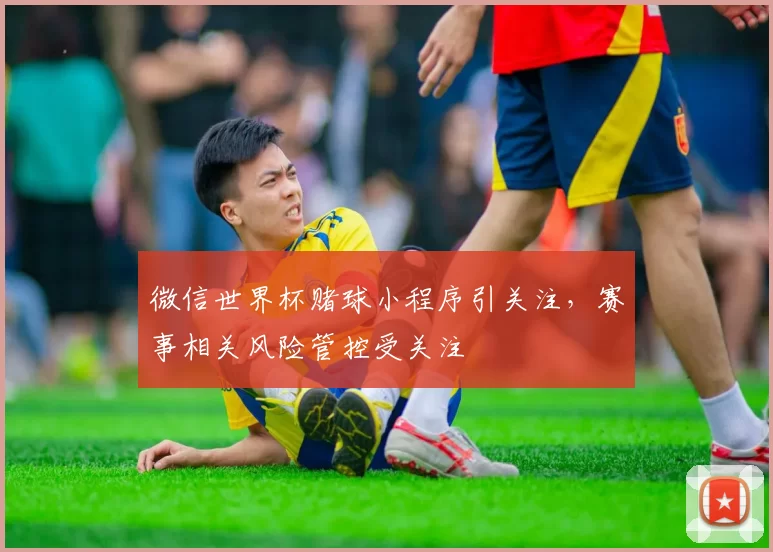 微信世界杯赌球小程序引关注,赛事相关风险管控受关注