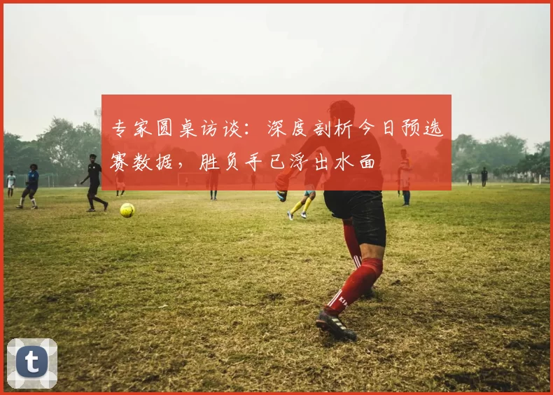 专家圆桌访谈:深度剖析今日预选赛数据,胜负手已浮出水面