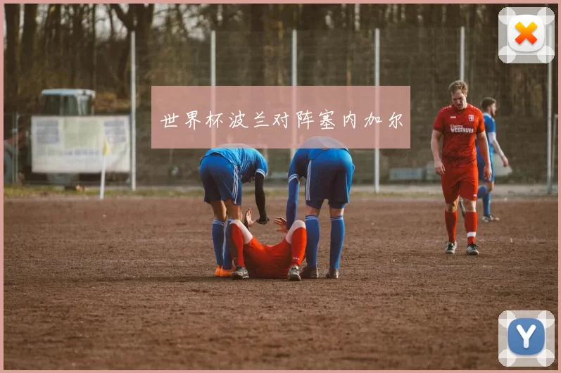 世界杯波兰对阵塞内加尔