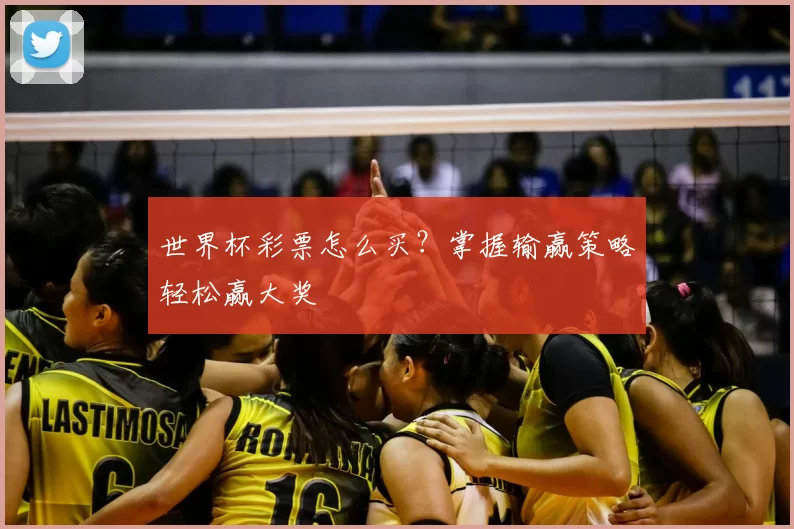 世界杯彩票怎么买?掌握输赢策略轻松赢大奖