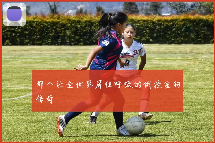 那个让全世界屏住呼吸的倒挂金钩传奇