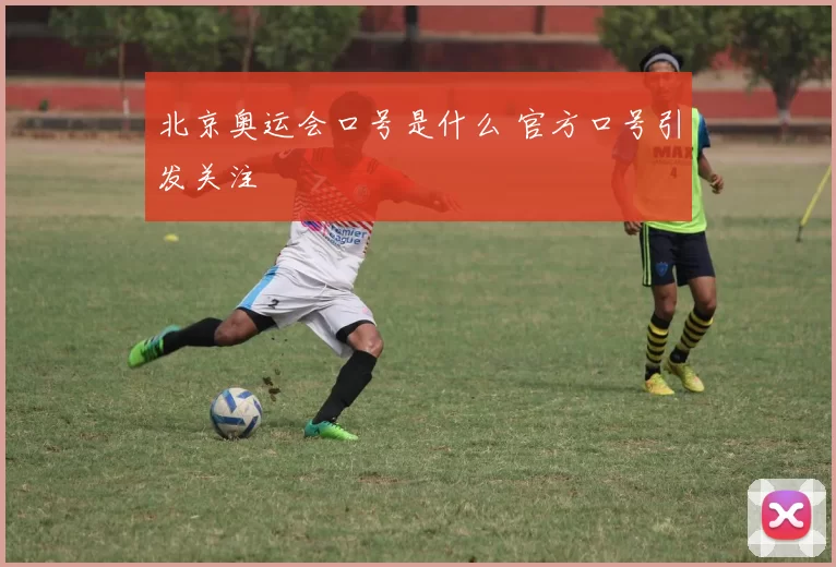 北京奥运会口号是什么 官方口号引发关注