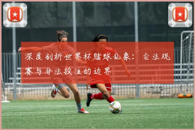 深度剖析世界杯赌球乱象:合法观赛与非法投注的边界