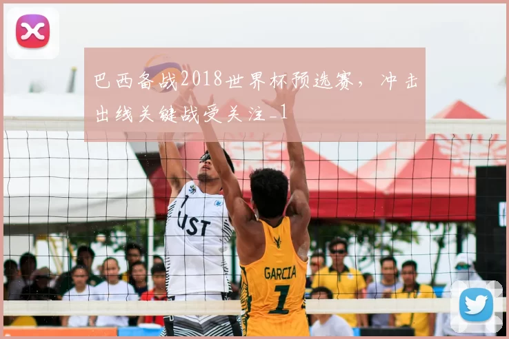 巴西备战2018世界杯预选赛，冲击出线关键战受关注_1