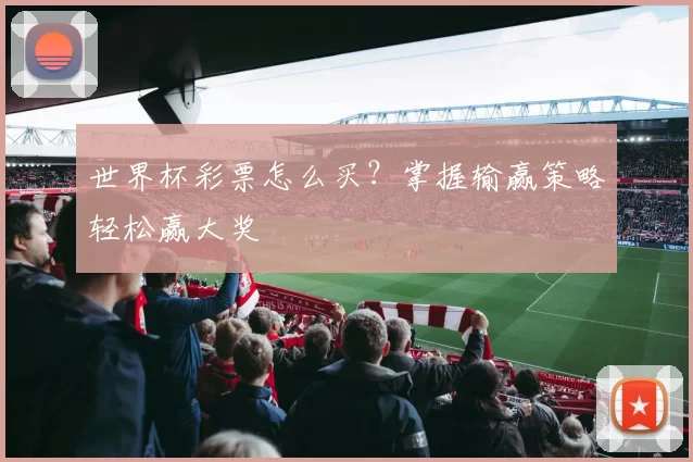 世界杯彩票怎么买?掌握输赢策略轻松赢大奖