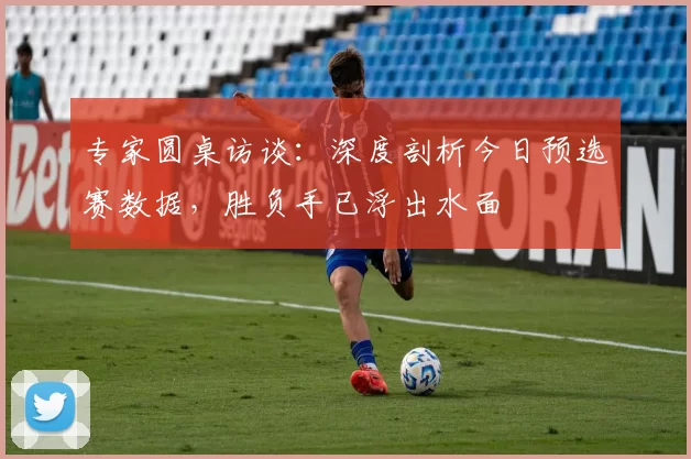 专家圆桌访谈：深度剖析今日预选赛数据，胜负手已浮出水面