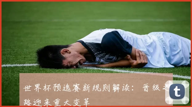 世界杯预选赛新规则解读:晋级之路迎来重大变革