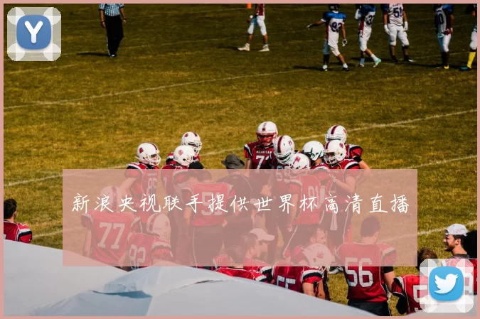 新浪央视联手提供世界杯高清直播